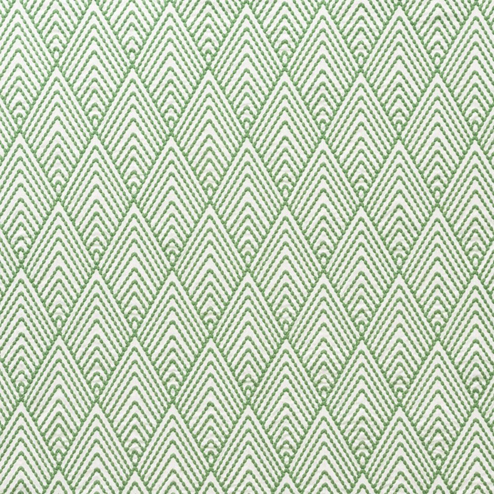 Schumacher 75370 Avila Embroidery Fabric in Green