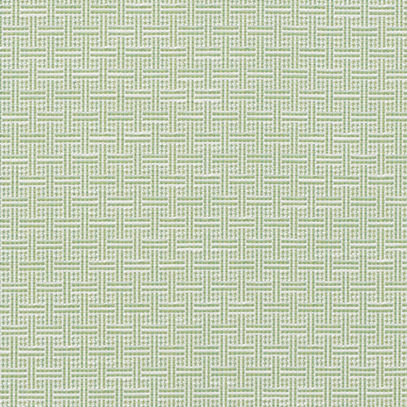 Schumacher 75931 Indooroutdoor-Prints-Wovens-Iii Collection Brickell Fabric  in Leaf