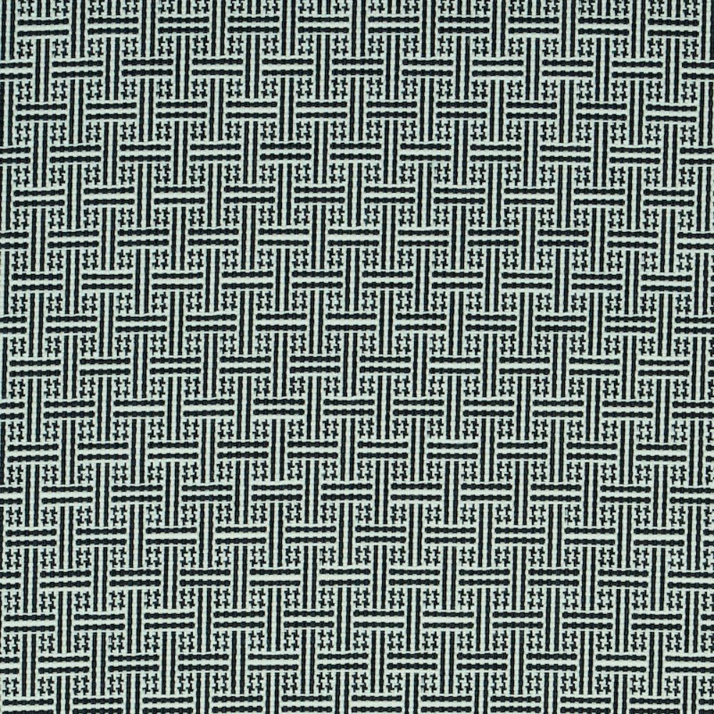 Schumacher 75935 Brickell Indoor/outdoor Fabric in Black