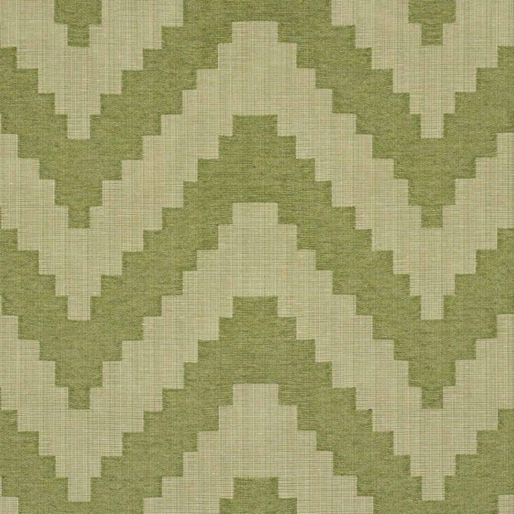 Schumacher 76533 Verne Fabric in Green