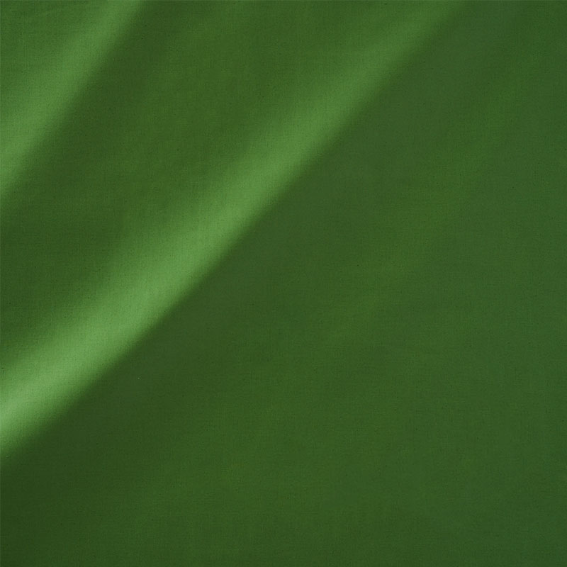 Schumacher 76989 Perfect-Basics-Cecil-Cotton-Chintz Collection Cecil Cotton Chintz Fabric  in Leaf