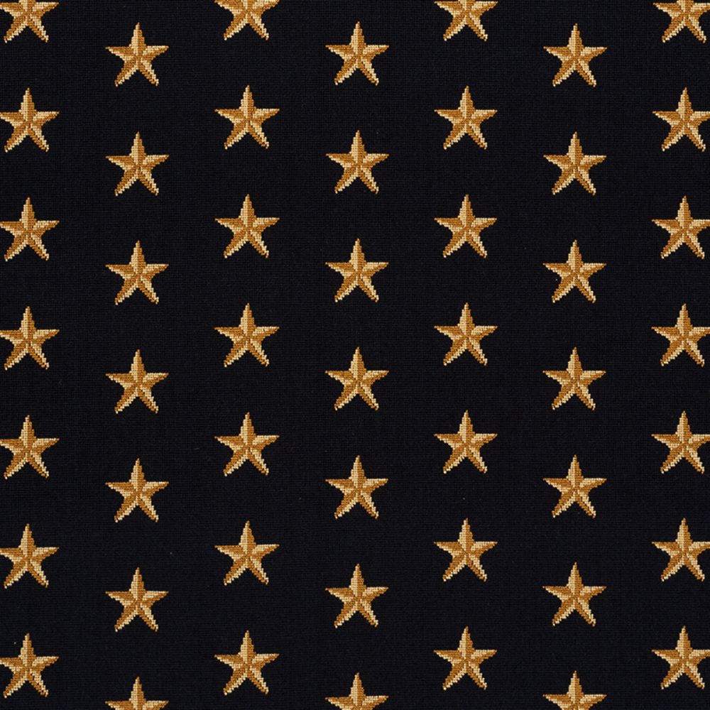 Schumacher 77420 Star Epingle Fabric in Black