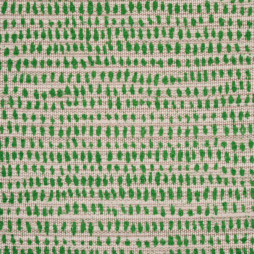 Schumacher 81092 Oscar Indoor/Outdoor Fabrics in Leaf