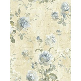 Seabrook Designs CT40018 THE AVENUES Wallpaper