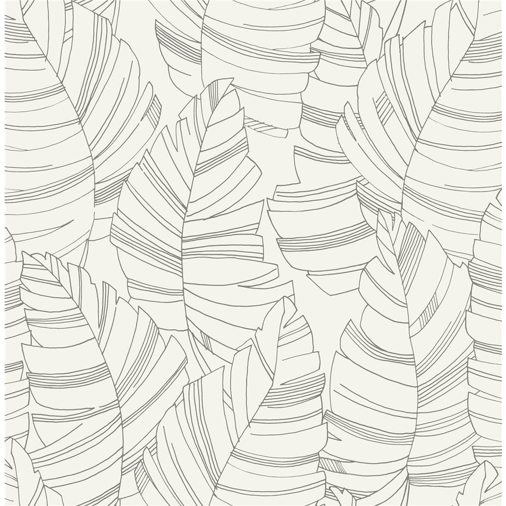 Seabrook Designs DA61400 Day Dreamers Jungle Leaves Wallpaper in Charcoal