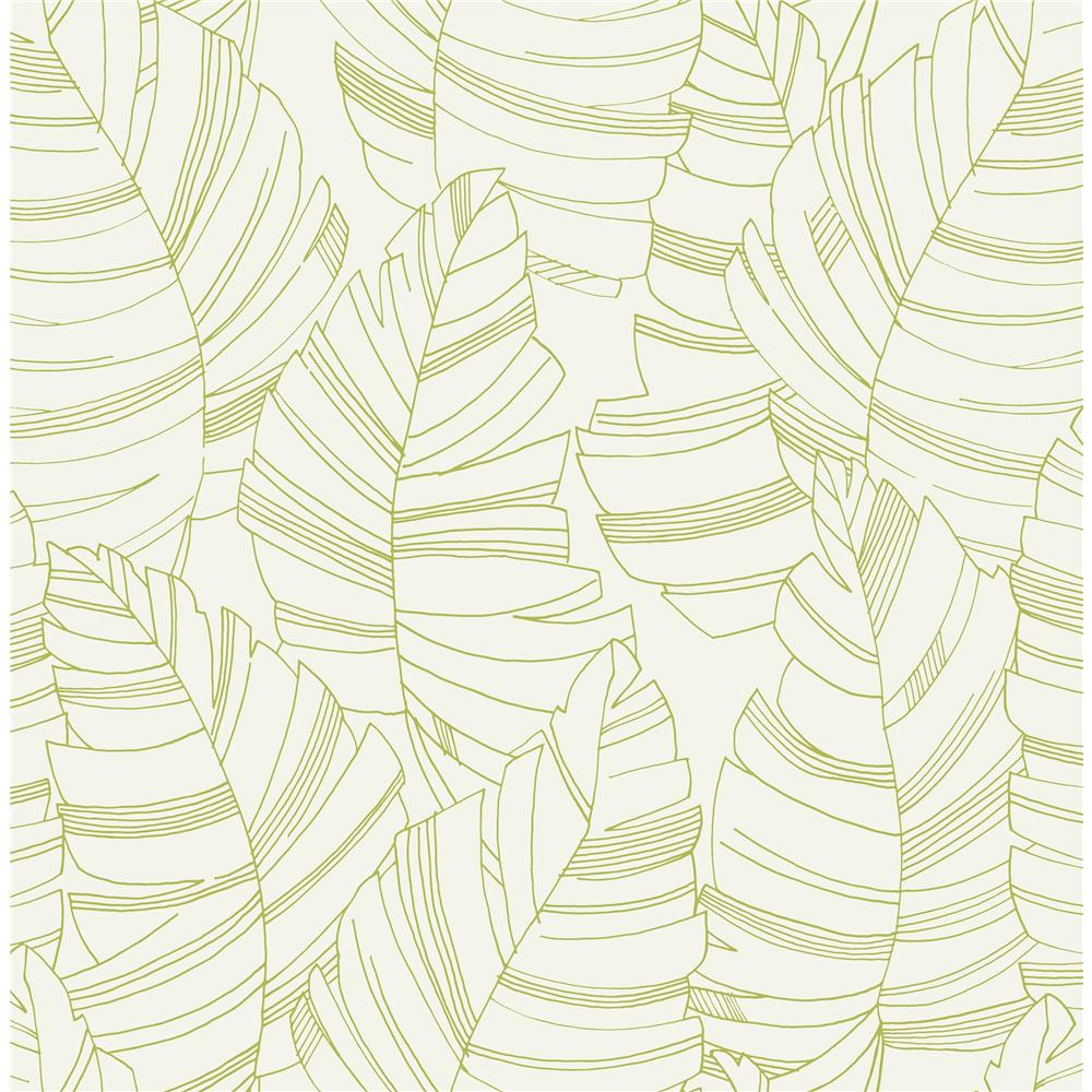 Seabrook Designs DA61404 Day Dreamers Jungle Leaves Wallpaper in Green Apple