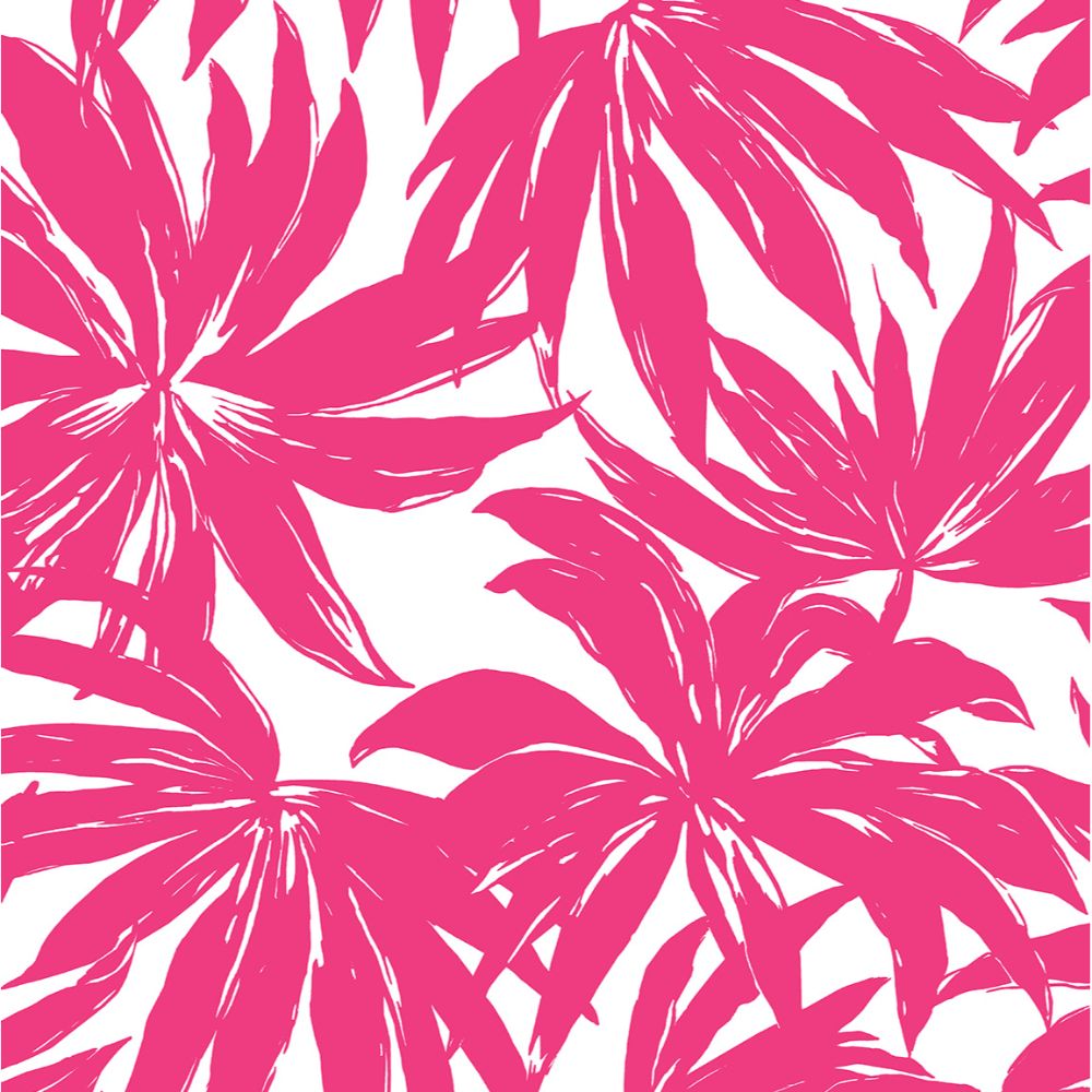 Seabrook Wallpaper DBW9117 Palma Wallpaper in Hot Pink