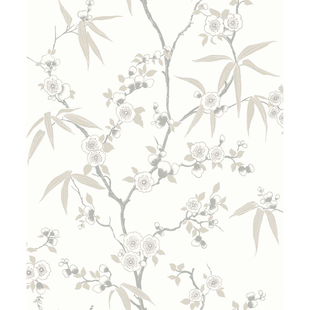 Seabrook Wallpaper EW11107 Floral Blossom Trail Wallpaper in Morning