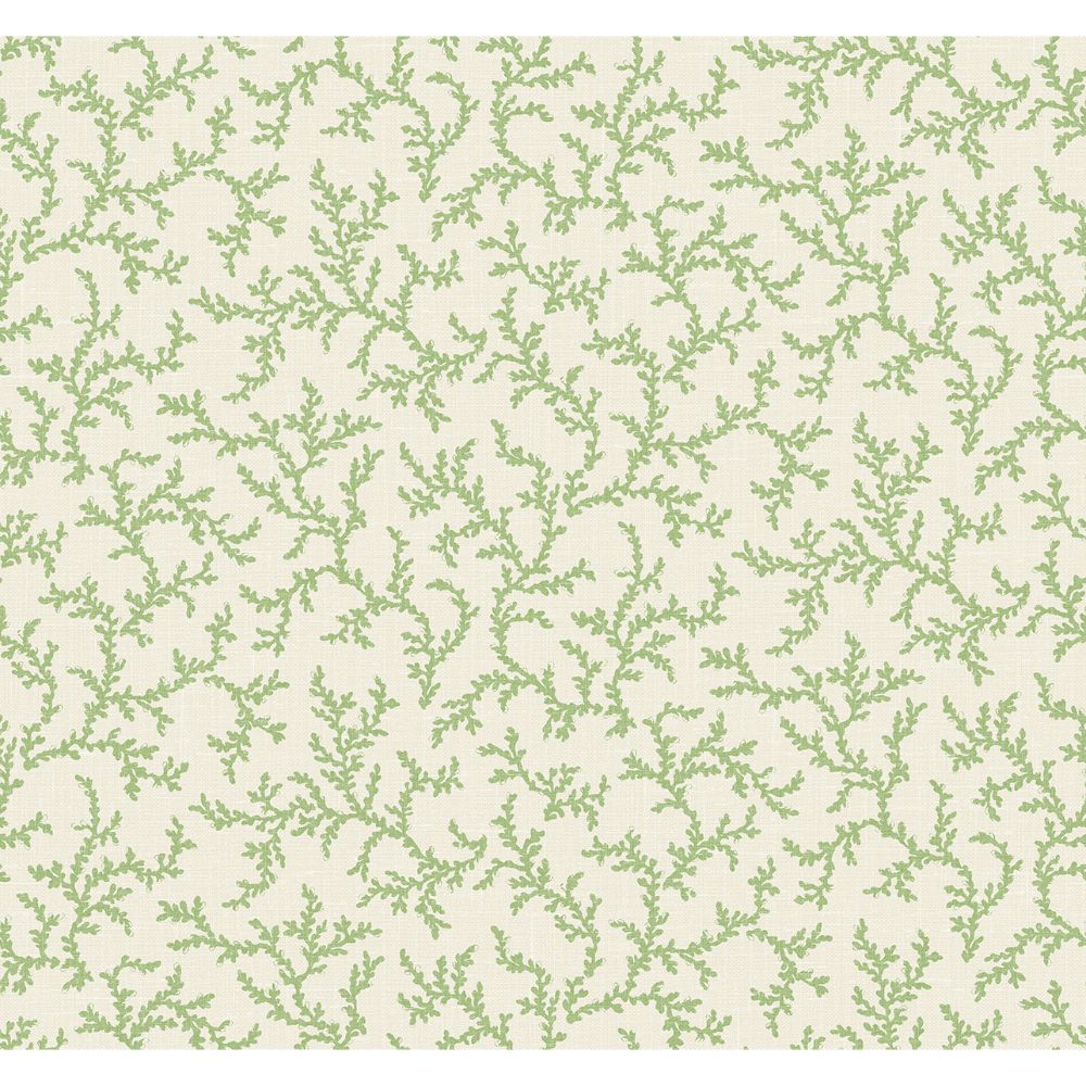 Seabrook Wallpaper FC62104 Corail Wallpaper in Herb