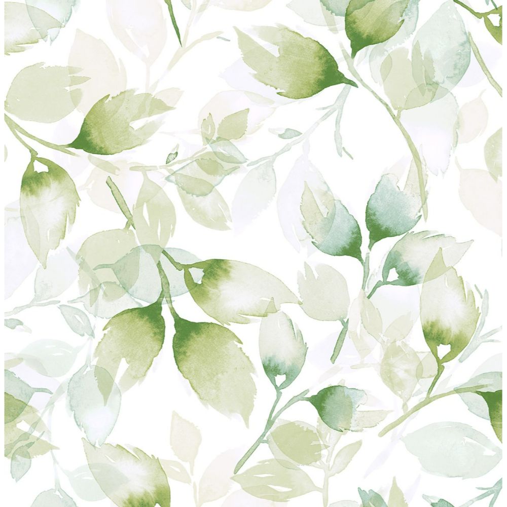 NextWall LN31104 Watercolor Tossed Leaves Wallpaper in Green Ivy