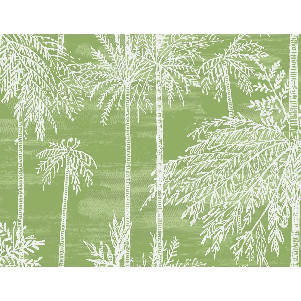 Seabrook Wallpaper LN40204 Palm Grove  Wallpaper in Summer Fern