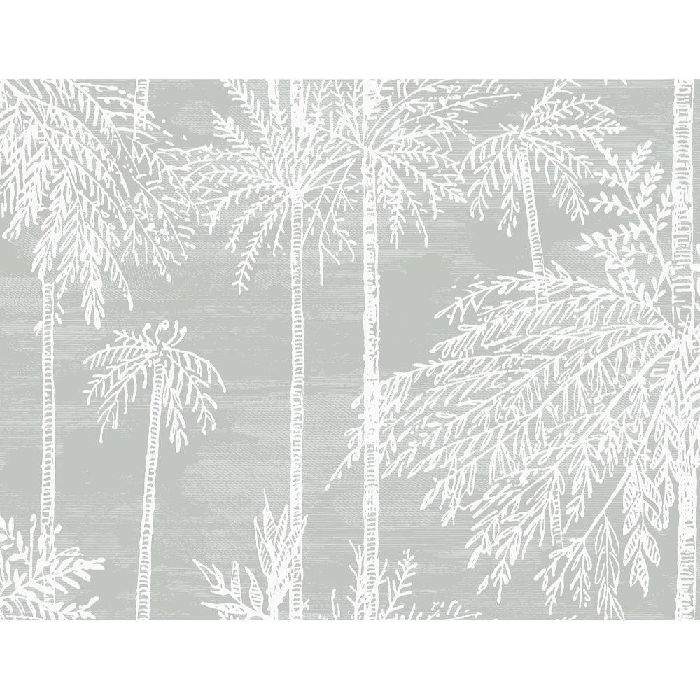 Seabrook Wallpaper LN40208 Palm Grove  Wallpaper in Misty