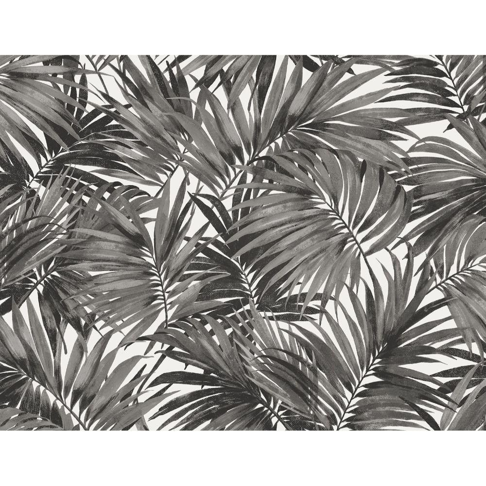 Seabrook Wallpaper LN40700 Cordelia Tossed Palms Wallpaper in Onyx