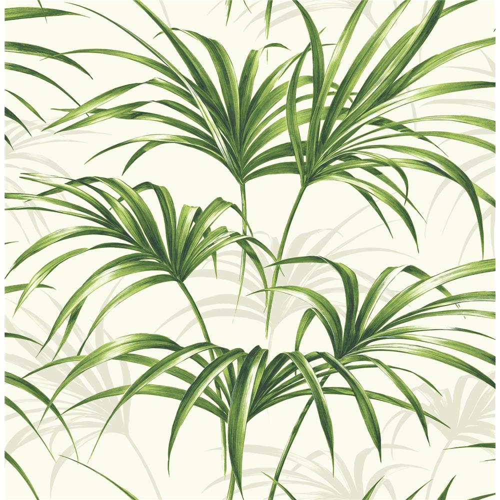 NextWall NW32504 NextWall Peel and Stick Tropical Palm Leaves Wallpaper in Green & Off-White