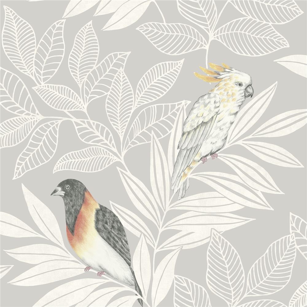 Seabrook Designs RY30100 Boho Rhapsody Paradise Island Birds Wallpaper in Daydream Gray and Ivory
