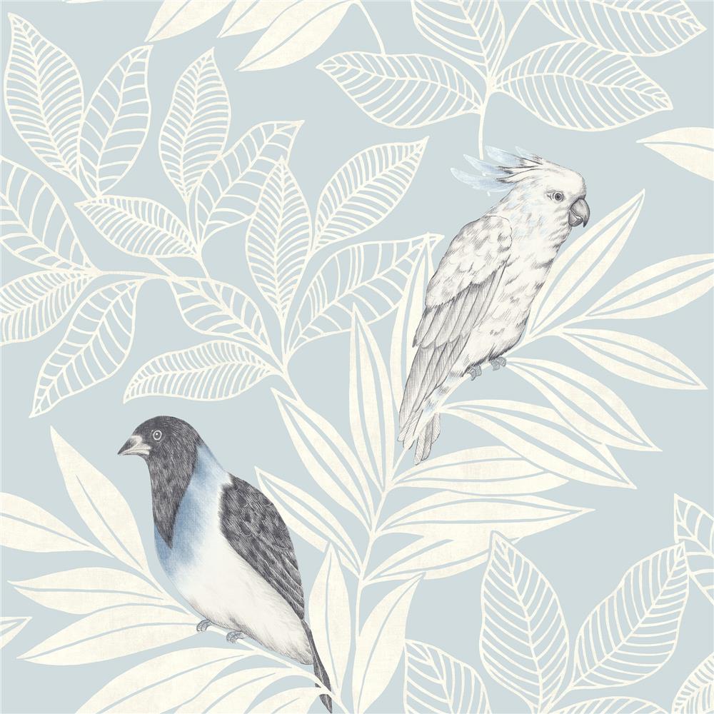 Seabrook Designs RY30102 Boho Rhapsody Paradise Island Birds Wallpaper in Blue Oasis and Ivory