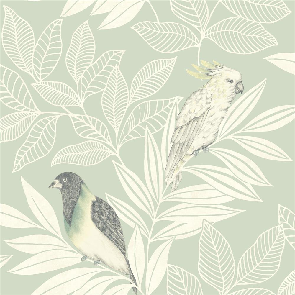 Seabrook Designs RY30104 Boho Rhapsody Paradise Island Birds Wallpaper in Mint and Ivory