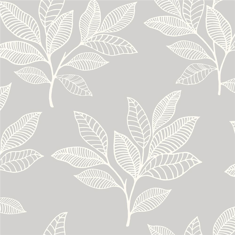 Seabrook Designs RY30800 Boho Rhapsody Paradise Leaves Wallpaper in Daydream Gray