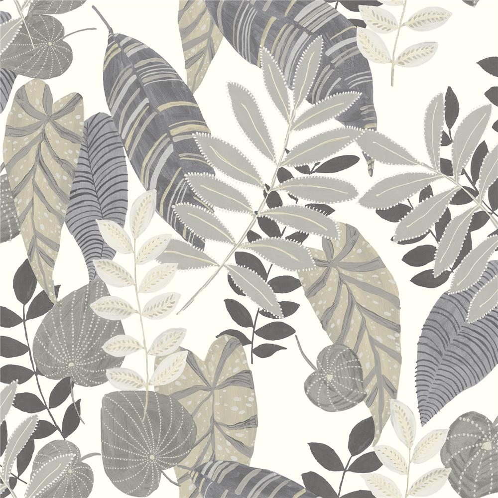 Seabrook Designs RY30908 Boho Rhapsody Tropicana Leaves Wallpaper in Charcoal, Stone, and Daydream Gray