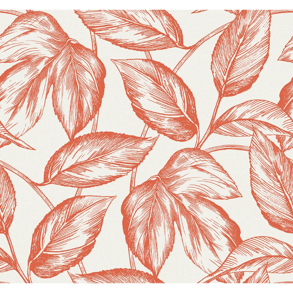 Seabrook Wallpaper SC20001 Beckett Sketched Leaves Wallpaper in Rich Coral