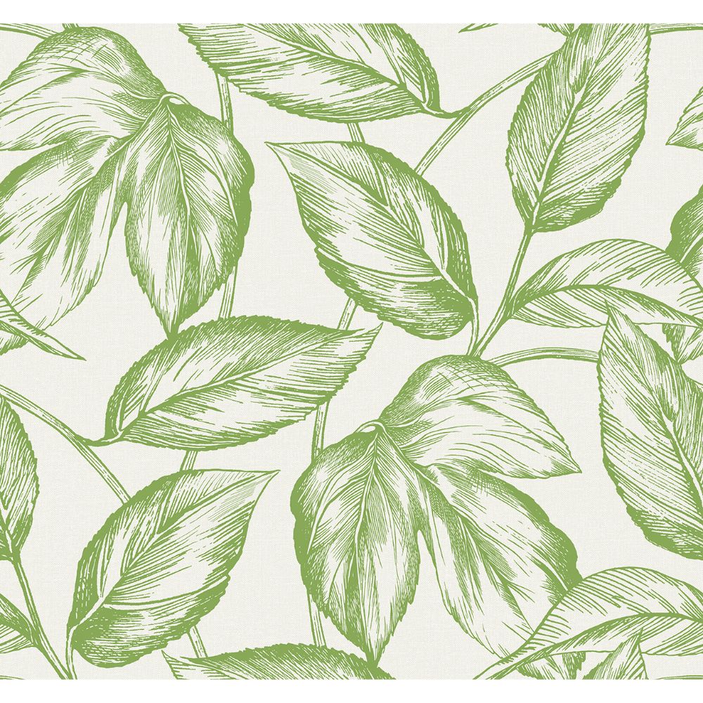 Seabrook Wallpaper SC20004 Beckett Sketched Leaves Wallpaper in Apple Green