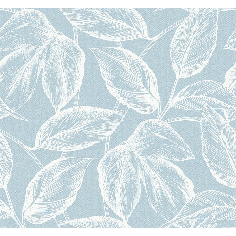 Seabrook Wallpaper SC20022 Beckett Sketched Leaves Wallpaper in Baby Blue