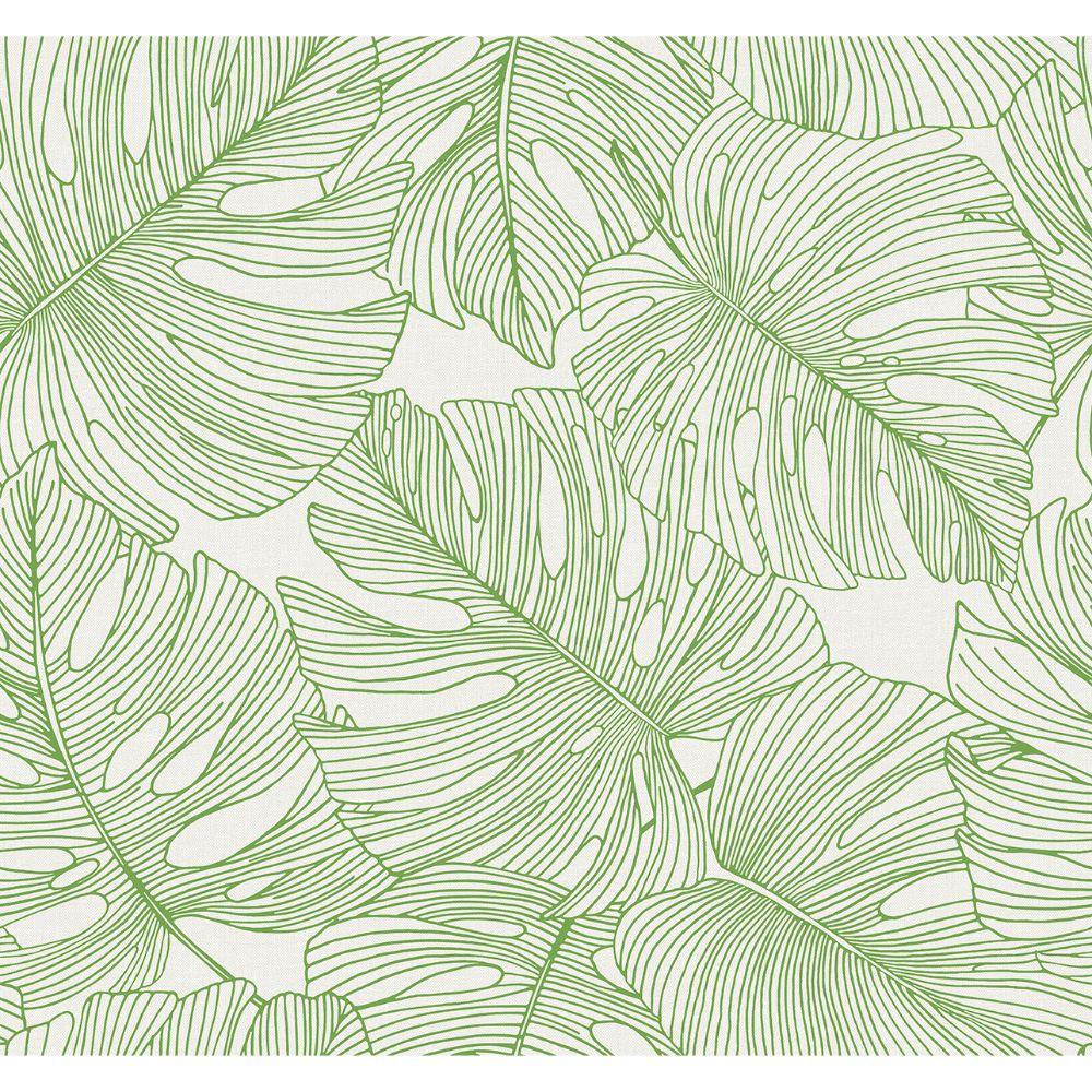 Seabrook Wallpaper SC20204 Tarra Monstera Leaf Wallpaper in Hill Green