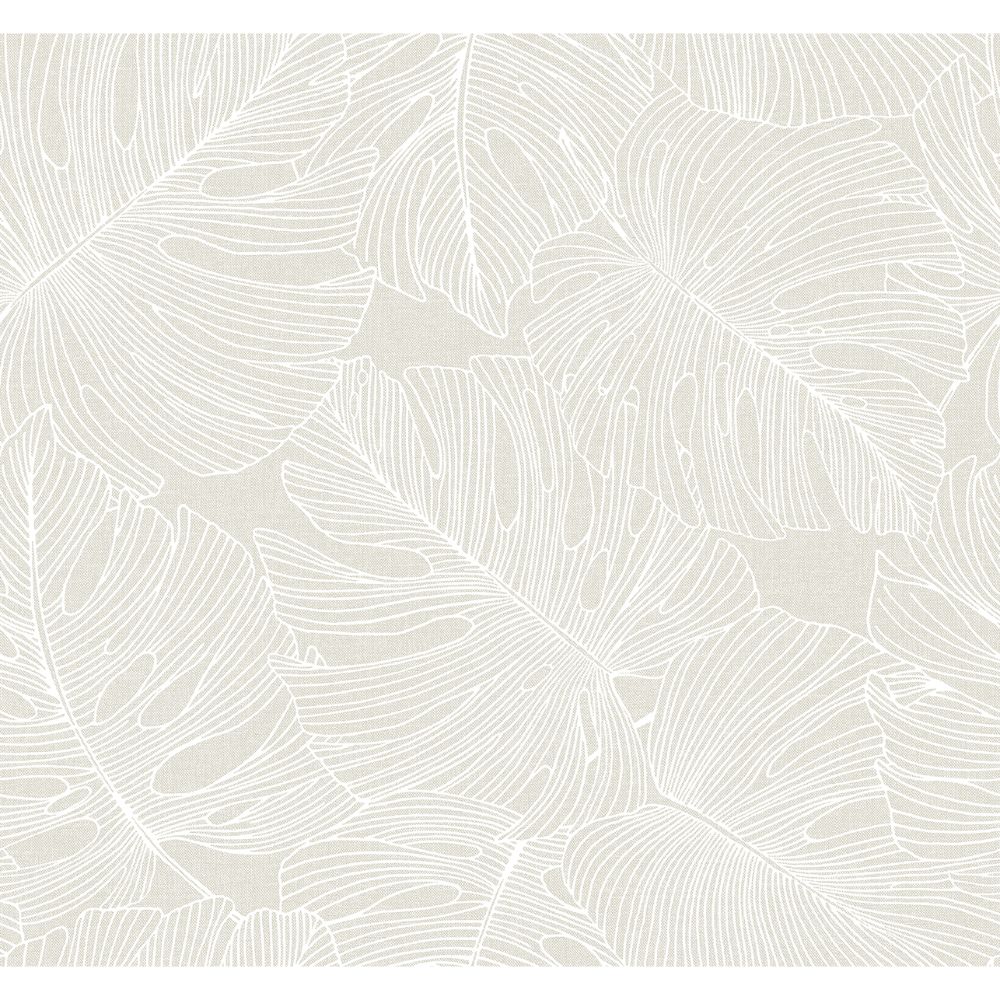 Seabrook Wallpaper SC20205 Tarra Monstera Leaf Wallpaper in White Sand