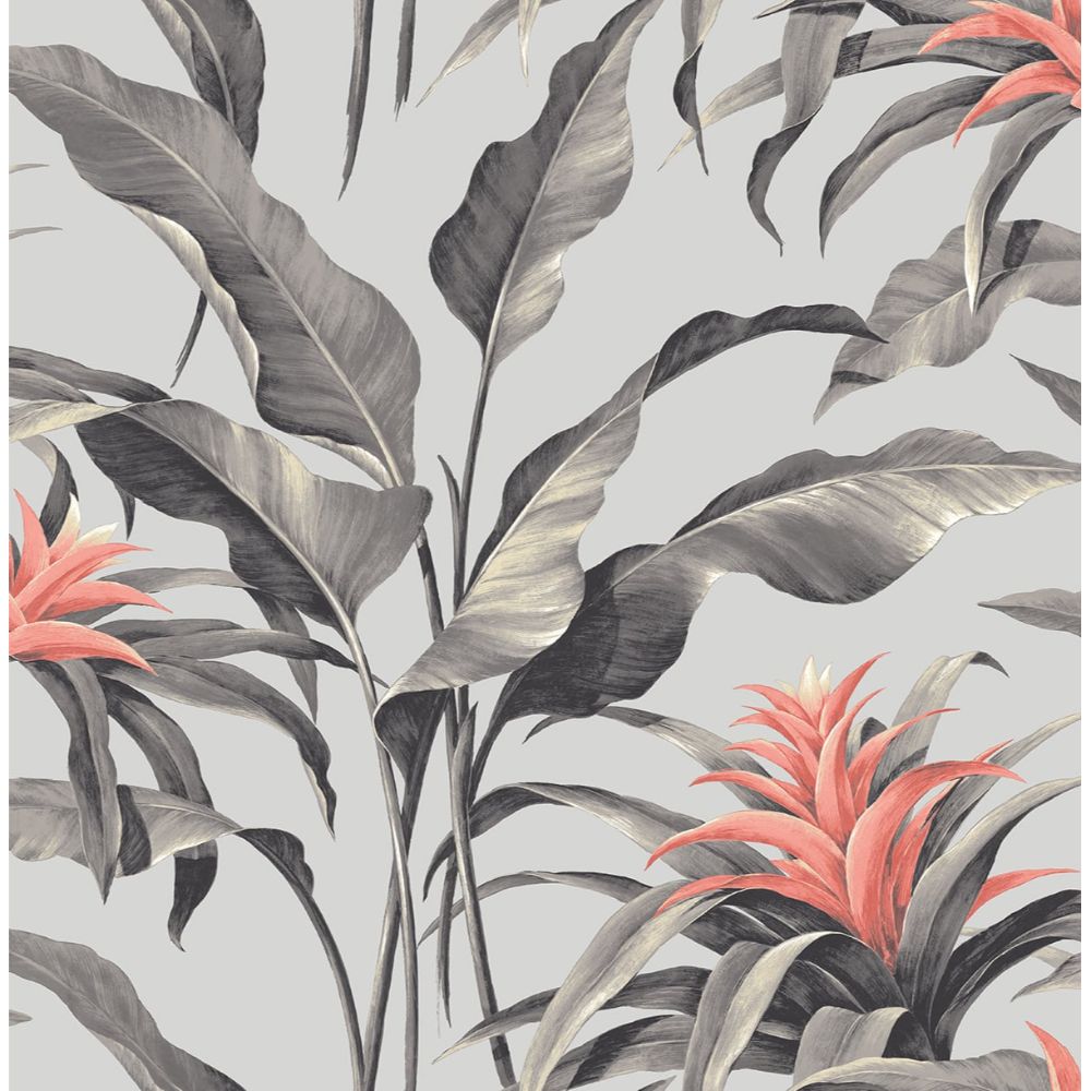 Stacy Garcia Home by Seabrook Wallpaper SG10301 Palma in Metallic Silver & Coral