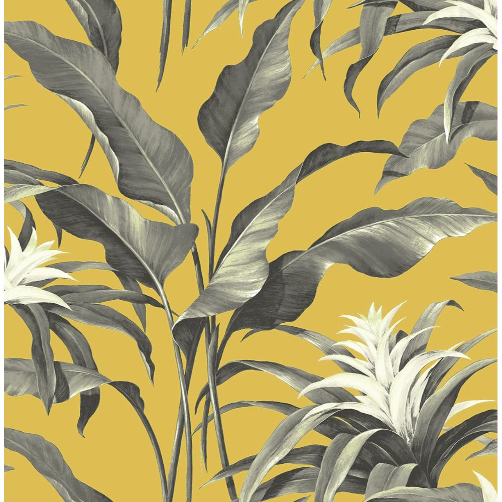 Stacy Garcia Home by Seabrook Wallpaper SG10305 Palma in Golden & Moonstone Grey