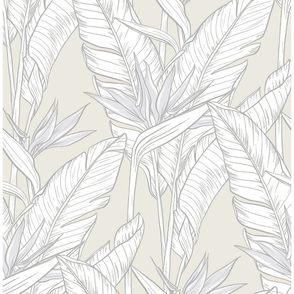 Seabrook Wallpaper SG11905 Birds of Paradise Wallpaper in Pearl Grey & Metallic Silver
