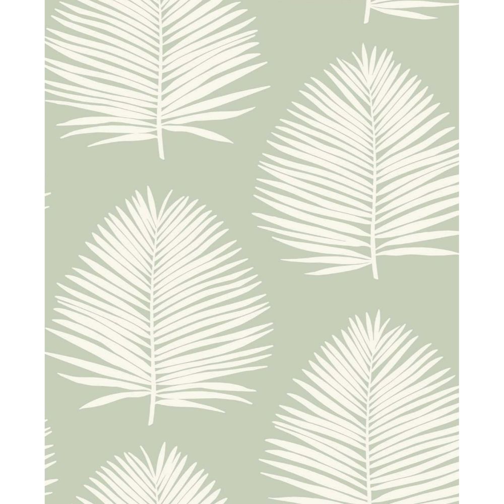 Seabrook Wallpaper SL80704 Island Palm Wallpaper in Celadon