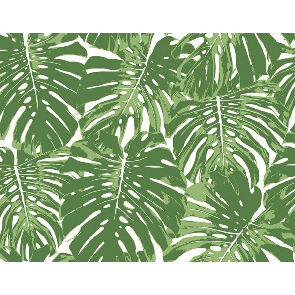 Seabrook Wallpaper TA20004 Leaves/Leaf, Tropical Wallpaper in Green, White