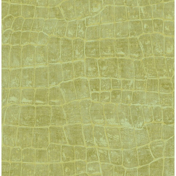 Seabrook Wallpaper TA20504 Animal Skins Wallpaper in Green
