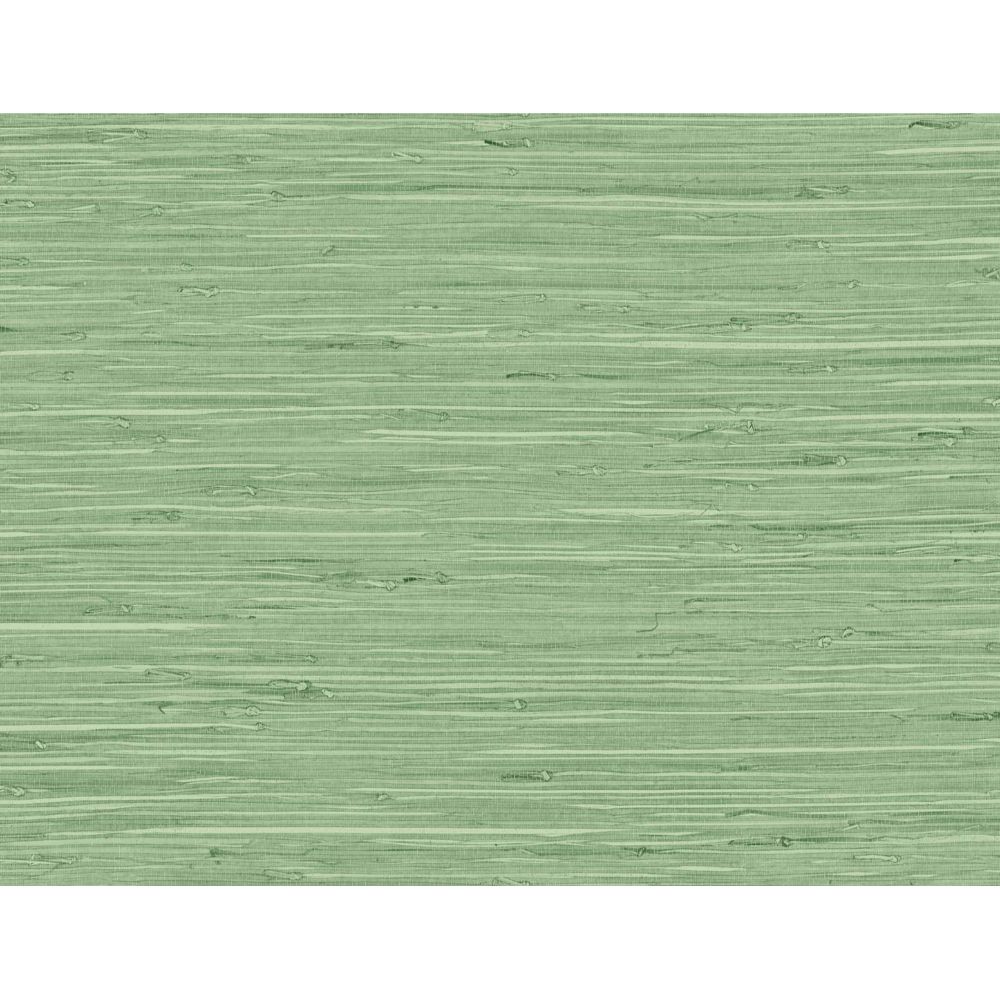 Seabrook Wallpaper TG60534 Marion Faux Arrowroot Wallpaper in Spring Forest