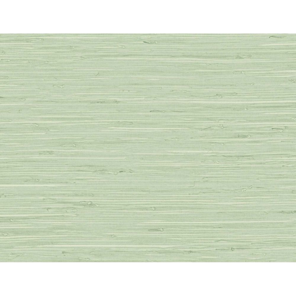 Seabrook Wallpaper TG60535 Marion Faux Arrowroot Wallpaper in Frosted Grass