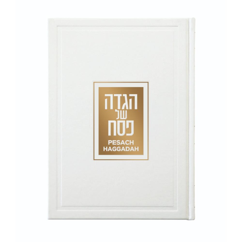 English-Hebrew Haggadah - With a Box!
