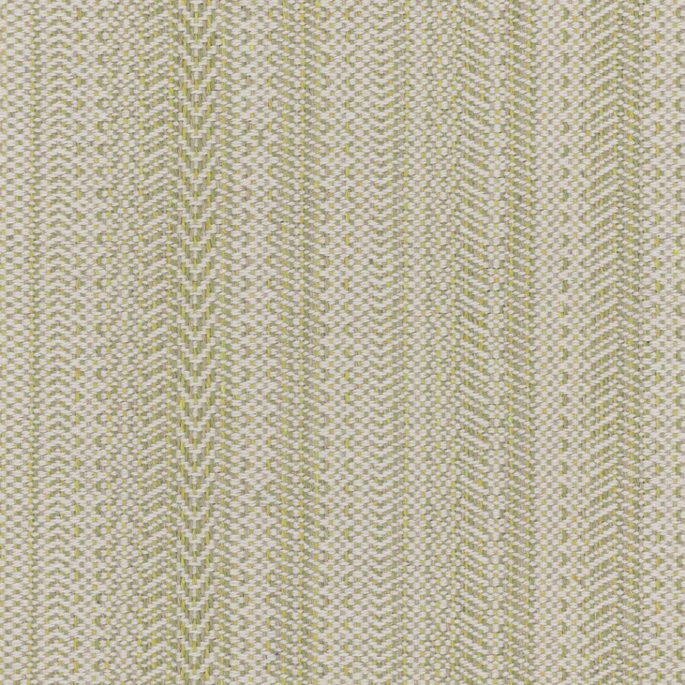 Stout PAIN-1 Paine 1 Seedling Upholstery Fabric
