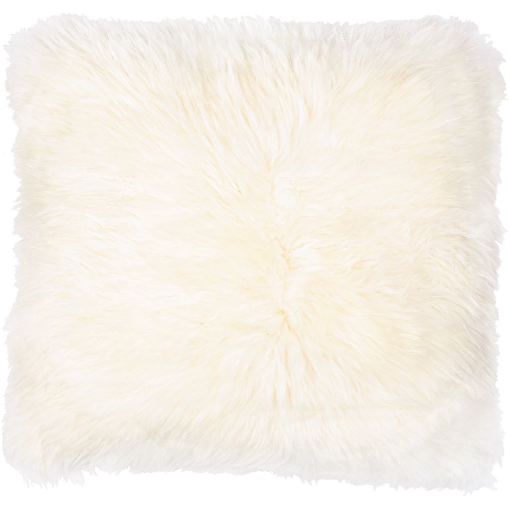 Surya UTH001-2020 Utah 20"H x 20"W Pillow Cover in Whites