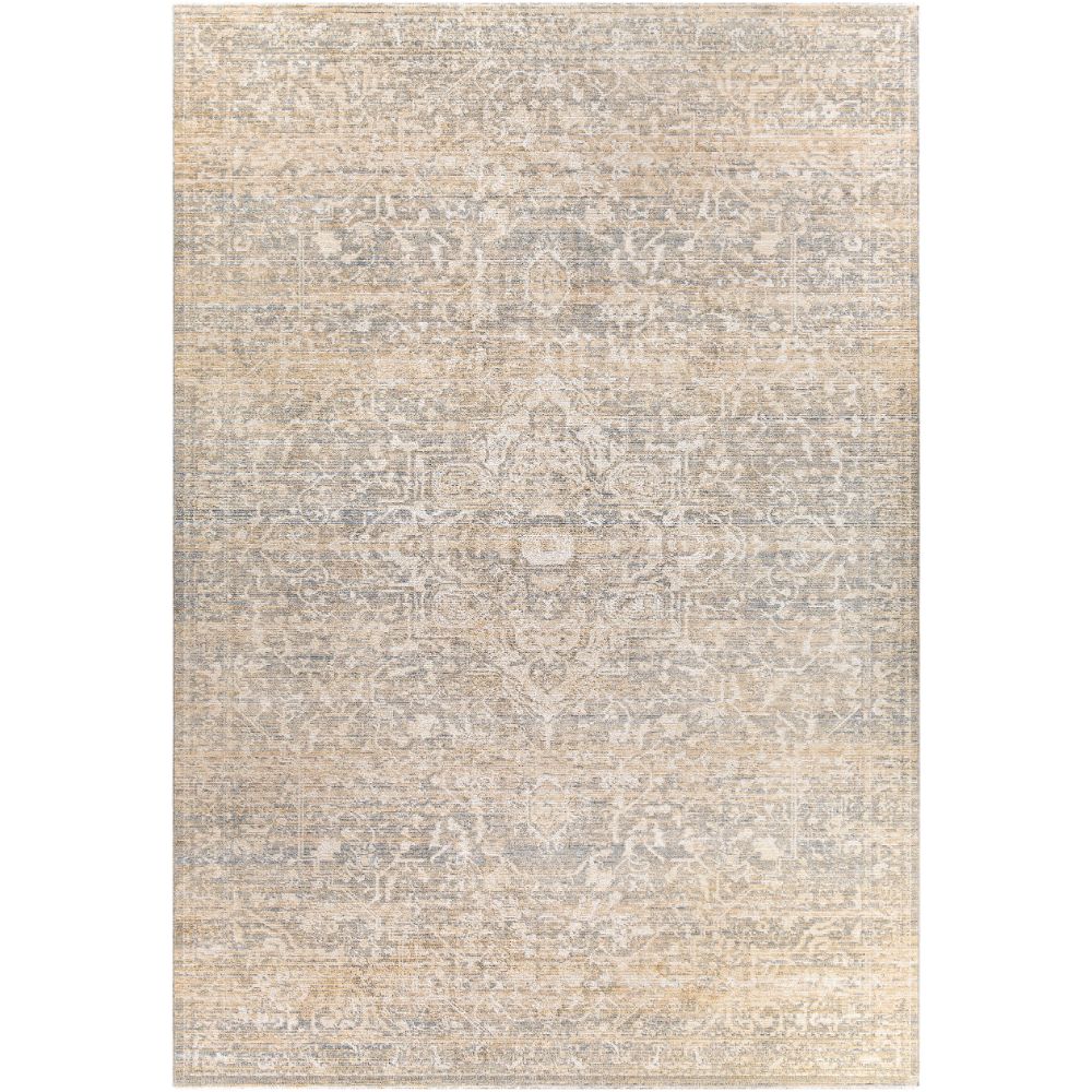 Surya Amore AMO-2325 Rug - 2 ft x 3 ft