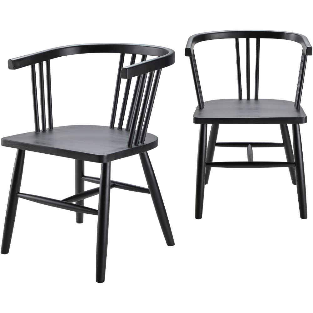 Surya NJI002-SET Jilin NJI-002 32"H x 22"W x 23"D,  32"H x 22"W x 23"D Dining Chair in Black