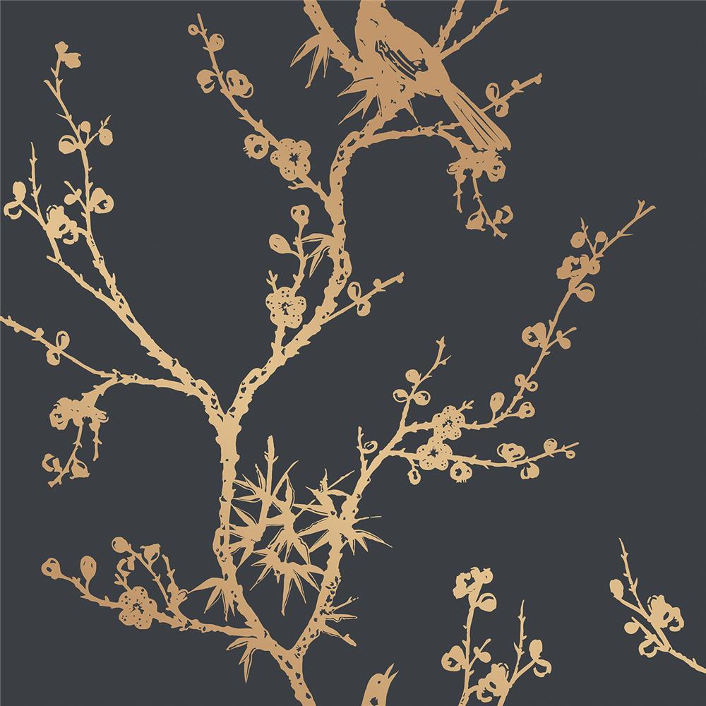 Tempaper CR448 Bird Watching  Self-adhesive, Removable Wallpaper in Black & Gold