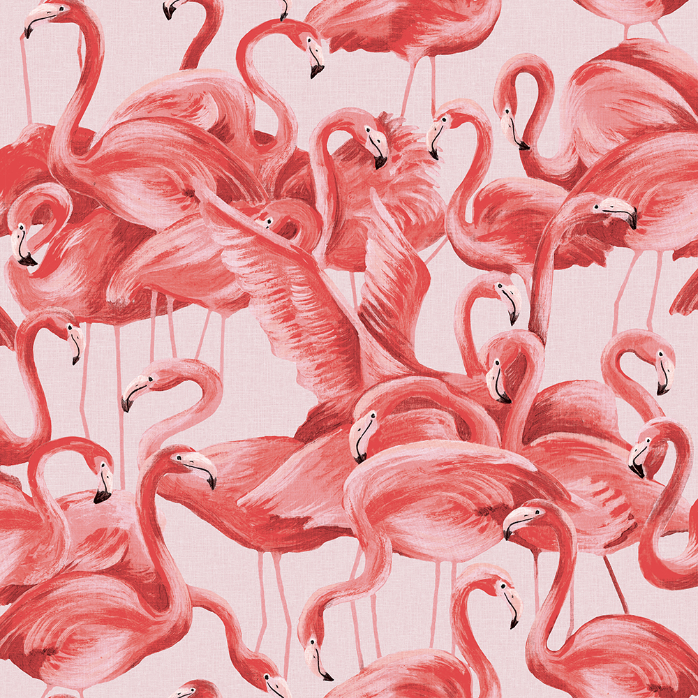 Tempaper FL10538 Flamingo Cheeky Pink Self-Adhesive, Removable Wallpaper