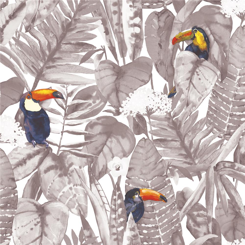 Tempaper TO10528 Toucan Newspaper Self-Adhesive, Removable Wallpaper