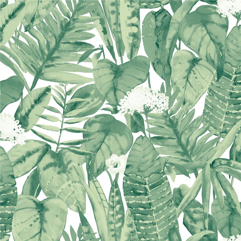Tempaper TR529 Tropical Self-adhesive, Removable Wallpaper in Jungle Green