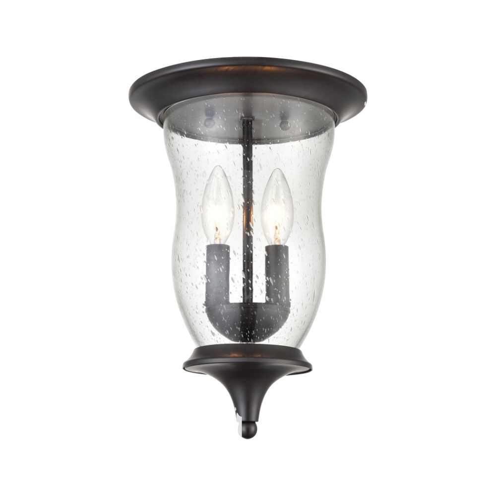 Thomas Lighting 8002FM/75 Trinity Series Outdoor Flush Mount in Oil Rubbed Bronze with Seeded Glass                            