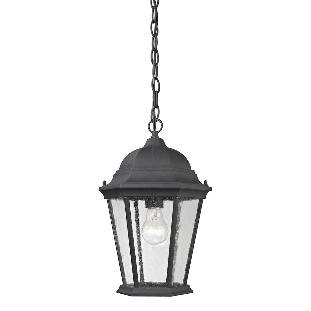 Thomas Lighting 8101EH/65 Temple Hill 1 Light Outdoor Pendant In Matte Textured Black