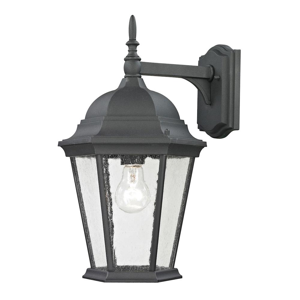 Thomas Lighting 8101EW/65 Temple Hill 1 Light Outdoor Wall Sconce In Matte Textured Black