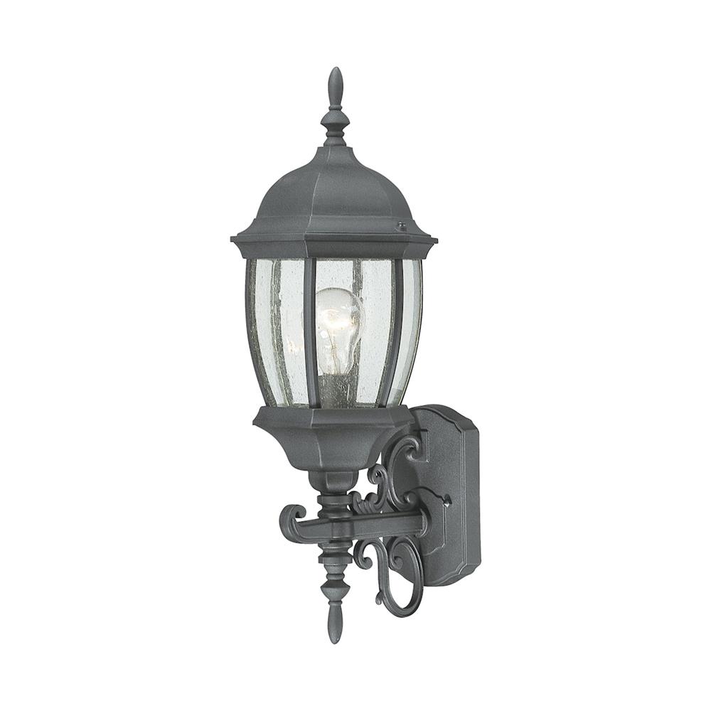Thomas Lighting SL92257 Covington 1-light Outdoor Wall Lantern in Black
