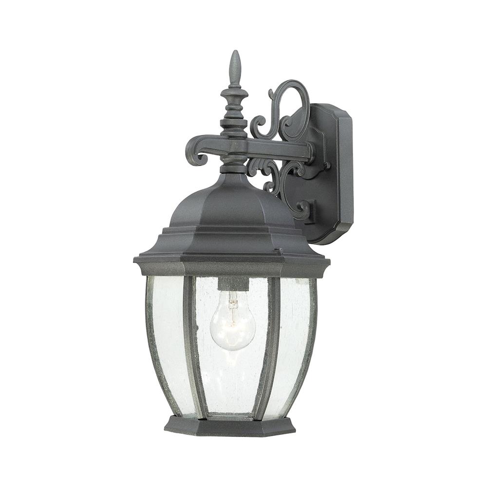 Thomas Lighting SL92297 Covington 1-light Outdoor Wall Lantern in Black